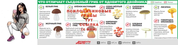 Альфа ПВП Волоколамск