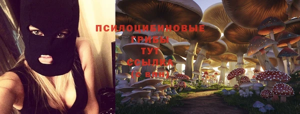 Альфа ПВП Волоколамск