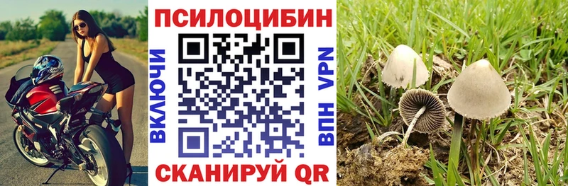 Купить закладки  Лахденпохья  Галлюциногенные грибы мицелий 